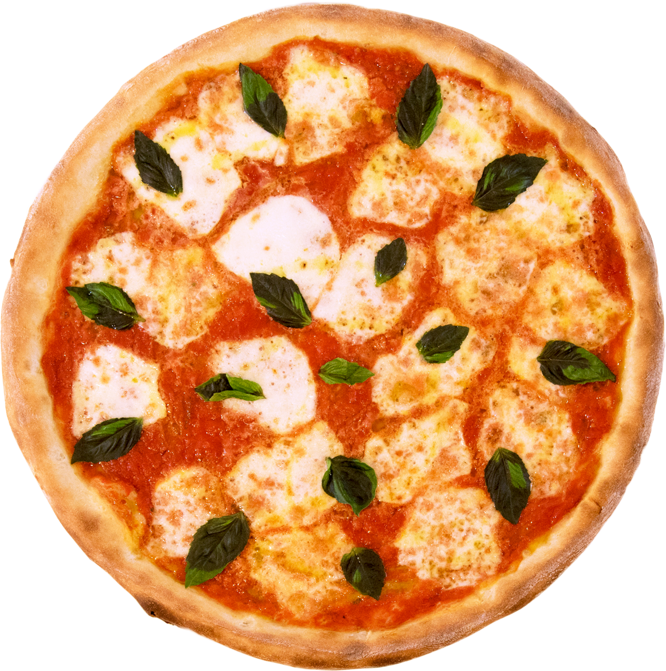 Cheese Pizza with Basil Leaves